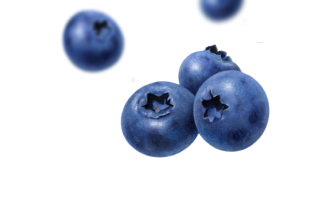 Blueberries